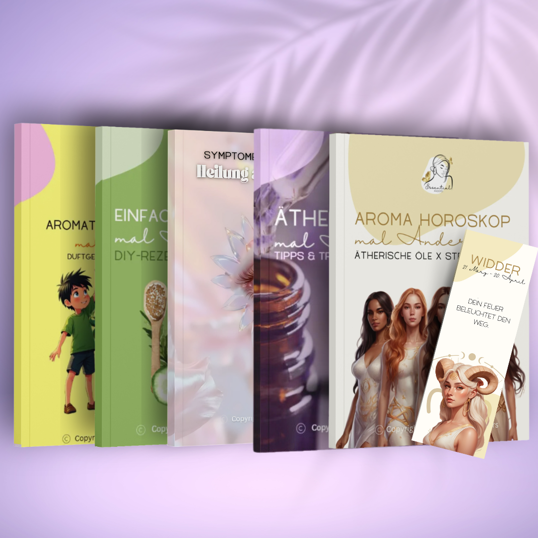 Essential Bücher Bundle