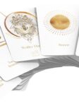 Maya Astro Cards