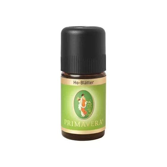 Ho-Blätter (Cinnamomum camphora) – 5 ml