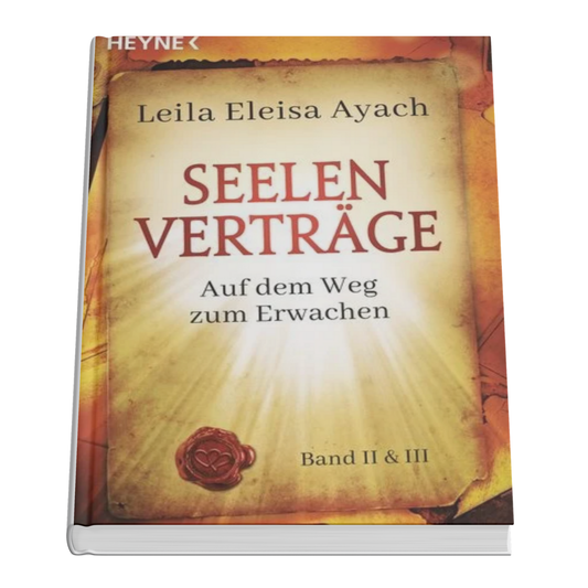 Seelenverträge Band 2 & 3: Auf dem Weg zum Erwachen
