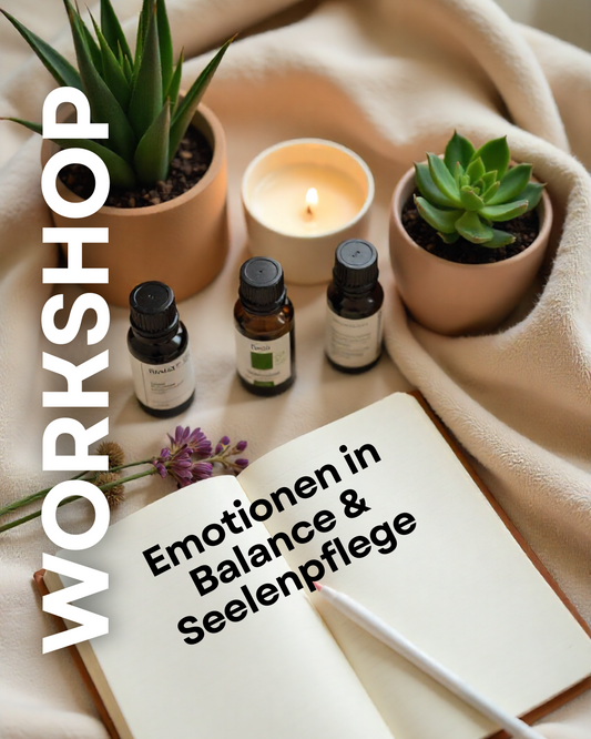 WORKSHOP: Emotionale Balance